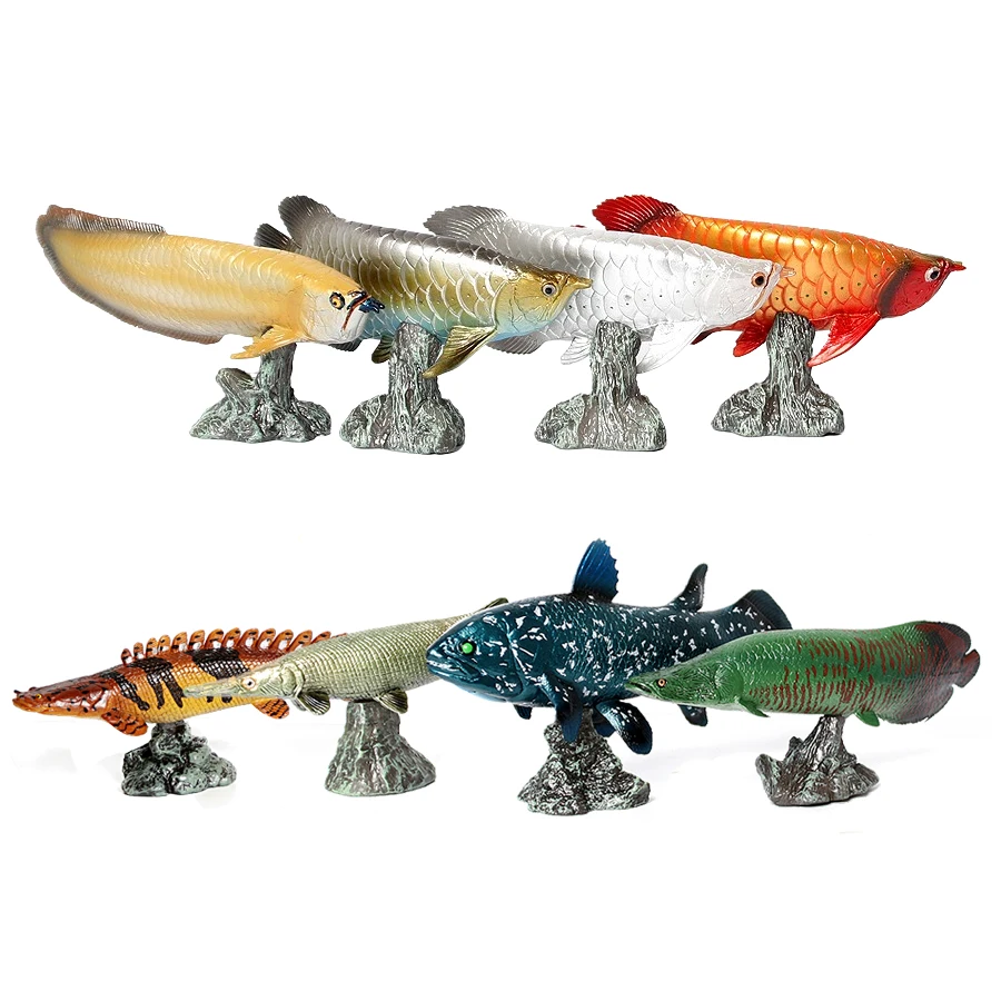 Arowana Pirarucu Coelacanth Bi - Kids Toys Reviews ulasan dan harga
