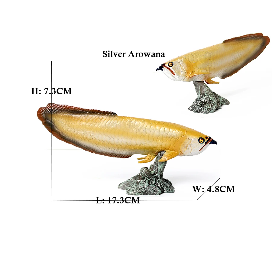 Arowana Pirarucu Coelacanth Bi - Kids Toys Reviews ulasan dan harga